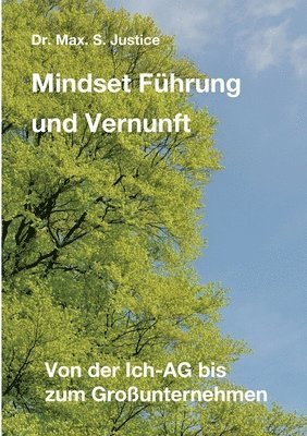 bokomslag Mindset Führung und Vernunft: Von der Ich-AG bis zum Großunternehmen