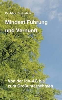 bokomslag Mindset Führung und Vernunft: Von der Ich-AG bis zum Großunternehmen