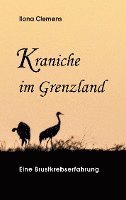 bokomslag Kraniche im Grenzland: Eine Brustkrebserfahrung