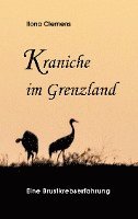 bokomslag Kraniche im Grenzland: Eine Brustkrebserfahrung