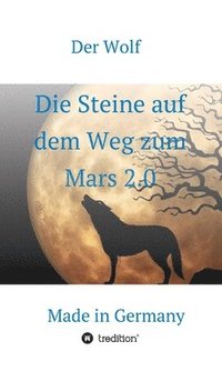 bokomslag Die Steine auf dem Weg zum Mars 2.0: Made in Germany