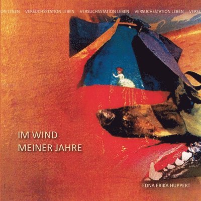 Im Wind meiner Jahre II: Versuchsstation Leben