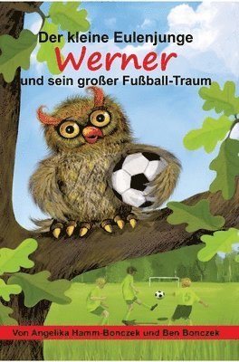 bokomslag kleine Eulenjunge Werner und sein großer Fußball-Traum
