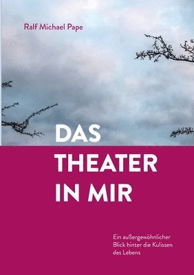 bokomslag Das Theater in mir: Ein außergewöhnlicher Blick hinter die Kulissen des Lebens