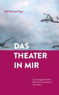 bokomslag Das Theater in mir: Ein außergewöhnlicher Blick hinter die Kulissen des Lebens