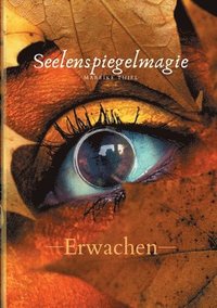 bokomslag Seelenspiegelmagie: Erwachen