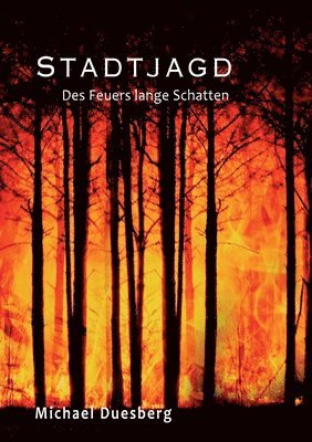 bokomslag Stadtjagd: Des Feuers lange Schatten