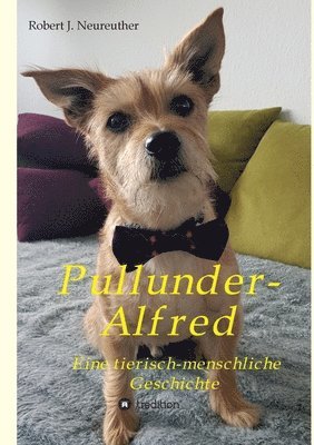 bokomslag Pullunder-Alfred