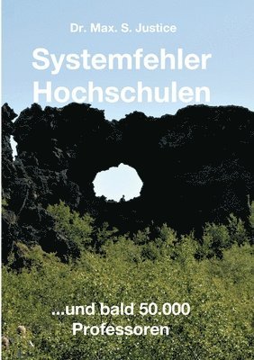 bokomslag Systemfehler Hochschulen: ...und bald 50.000 Professoren