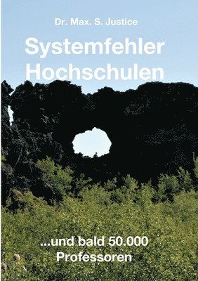 Systemfehler Hochschulen: ...und bald 50.000 Professoren