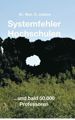 bokomslag Systemfehler Hochschulen: ...und bald 50.000 Professoren