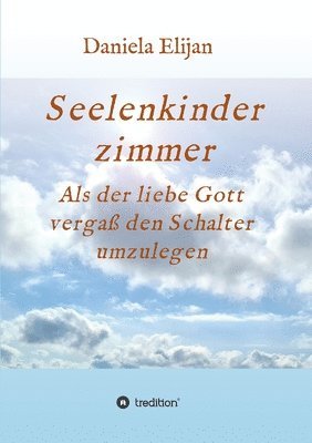 bokomslag Seelenkinderzimmer: Als der liebe Gott vergaß den Schalter umzulegen