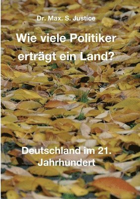 bokomslag Wie viele Politiker erträgt ein Land?: Deutschland im 21. Jahrhundert