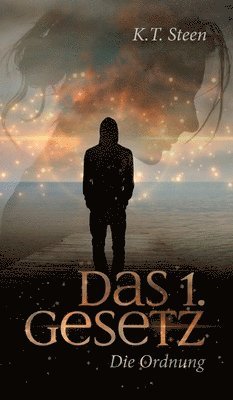 bokomslag Das erste Gesetz der Gefühle (Romantasy-Trilogie, Band 1)