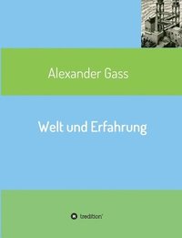 bokomslag Welt und Erfahrung