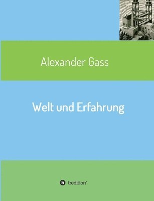 bokomslag Welt und Erfahrung