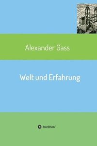 bokomslag Welt und Erfahrung