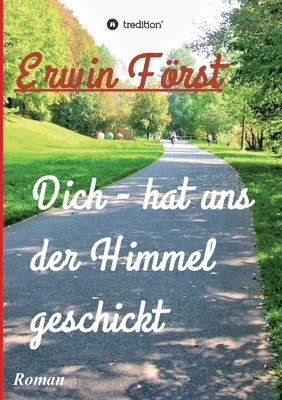 Dich - hat uns der Himmel geschickt: Roman 1