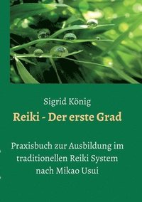 bokomslag Reiki - Der erste Grad: Praxisbuch zur Ausbildung im traditionellen Reiki System nach Mikao Usui