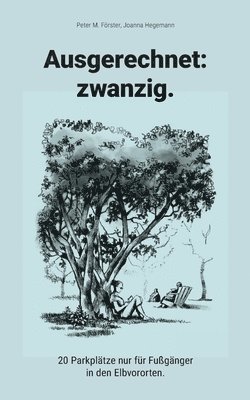 bokomslag Ausgerechnet: zwanzig.
