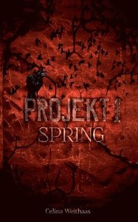 bokomslag Spring - Projekt I