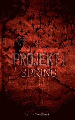 bokomslag Spring - Projekt I