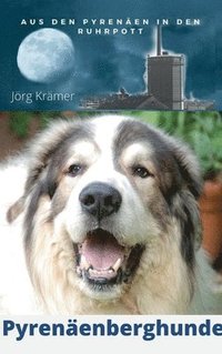 bokomslag Pyrenäenberghund - Aus den Pyrenäen in den Ruhrpott