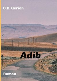 bokomslag Adib