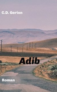 bokomslag Adib