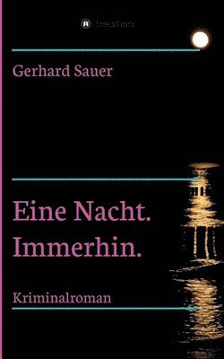 Eine Nacht. Immerhin.: Kriminalroman 1