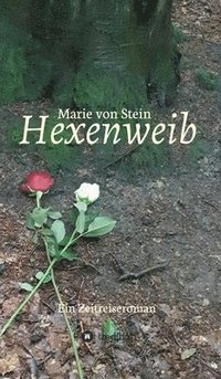 bokomslag Hexenweib: Ein Zeitreiseroman