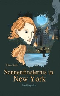 bokomslag Sonnenfinsternis in New York