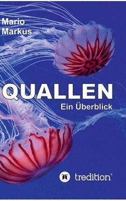 Quallen: Ein Überblick 1