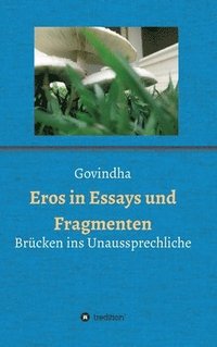 bokomslag Eros in Essays und Fragmenten: Brücken ins Unaussprechliche