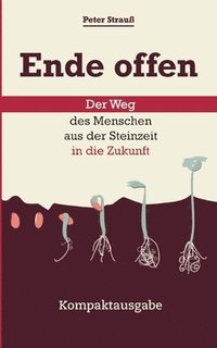 bokomslag Ende offen - Der Weg des Menschen aus der Steinzeit in die Zukunft