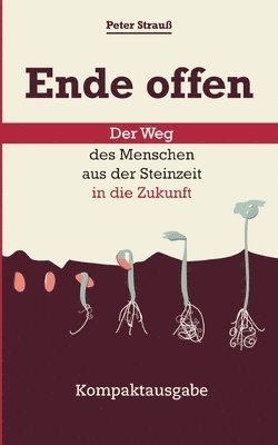 bokomslag Ende offen - Der Weg des Menschen aus der Steinzeit in die Zukunft: Kompaktausgabe