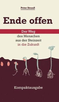 bokomslag Ende offen - Der Weg des Menschen aus der Steinzeit in die Zukunft