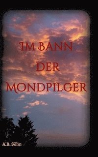 bokomslag Im Bann der Mondpilger