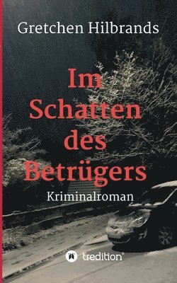 bokomslag Im Schatten des Betrügers: Kriminalroman