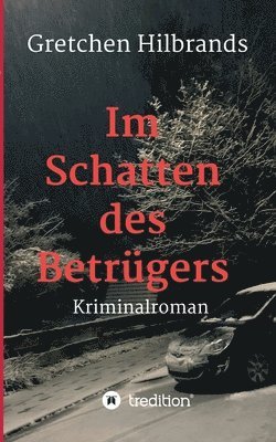 Im Schatten des Betrügers: Kriminalroman 1