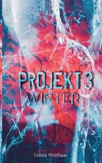 bokomslag Winter: Projekt III