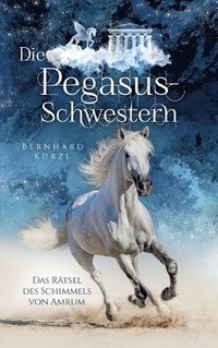 bokomslag Die Pegasus-Schwestern (1): Das Rätsel des Schimmels von Amrum