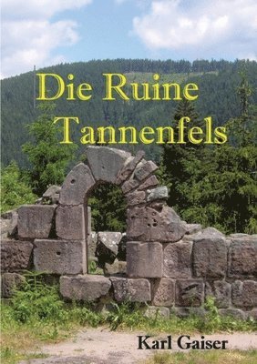 Die Ruine Tannenfels: Schlossruine 1