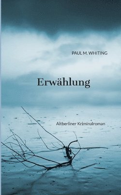 bokomslag Erwählung