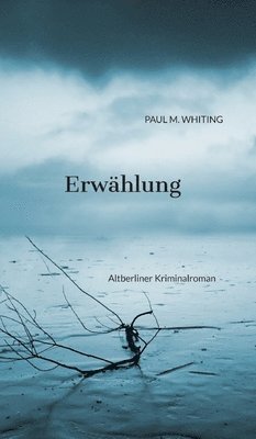 bokomslag Erwählung