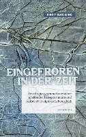bokomslag Eingefroren in der Zeit