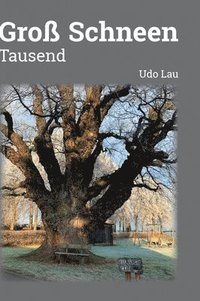 bokomslag Groß Schneen 1000 Jahre