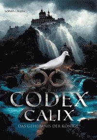 bokomslag Codex Calix - Das Geheimnis der Könige: Welches uralte Geheimwissen bewahrten die großen Könige, die Templer und die Freimaurer? Der Codex Calix entsc