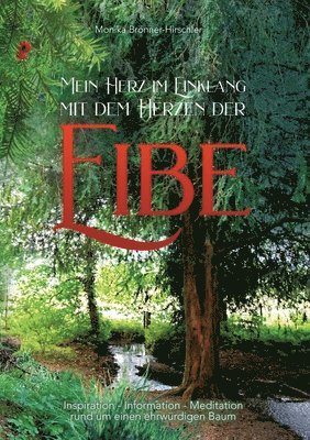 Monika Brönner-Hirschler - Mein Herz im Einklang mit dem Herzen der Eibe: Inspiration - Information - Meditation rund um einen ehrwürdigen Baum, Häftad