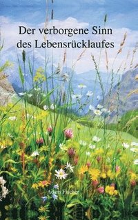 bokomslag Der verborgene Sinn des Lebensrücklaufes